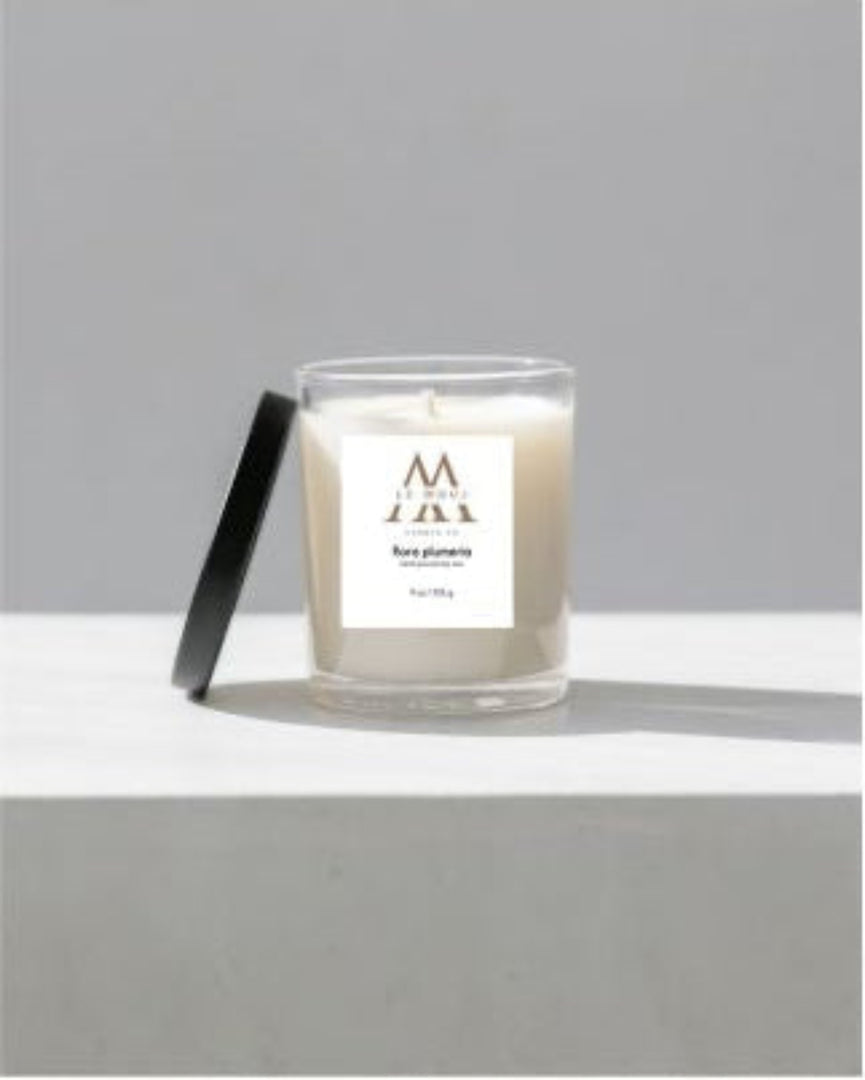 Flora Plumeria - A Tropical Paradise